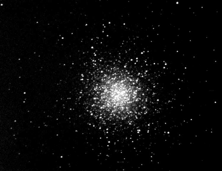 M13A.tif (179508 octets)